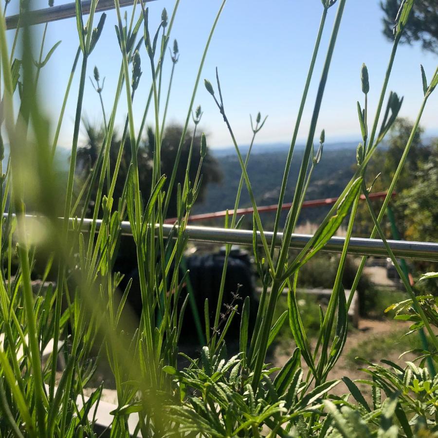 "Aux Balcons Du Riou" Avec Vue Mer 180 Degres Vence Exterior photo